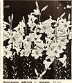 Bolgiano's selected bulbs plants seeds for 1950 fall planting (1950) (20202970248).jpg