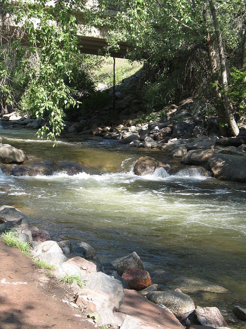 are dogs allowed in boulder creek