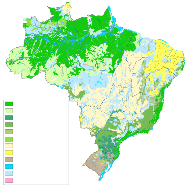 Relação entre clima e vegetação no Brasil - Planos de aula - 7°ano