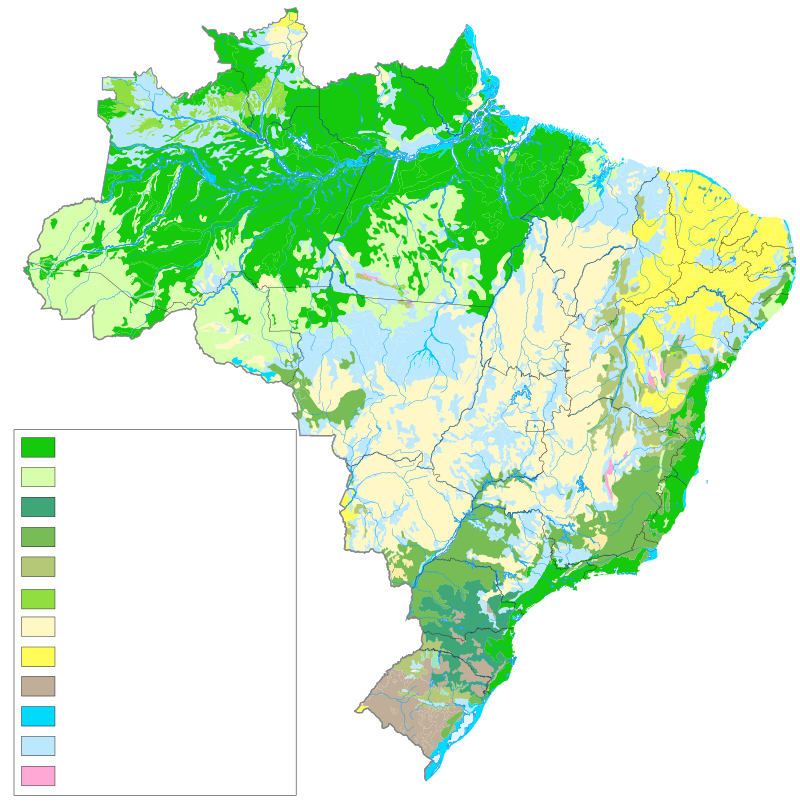 Tipos de vegetação do Brasil - Estudo Prático