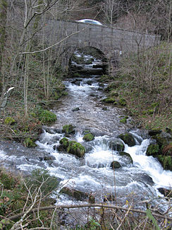 Dè Buselbach unterquèrt d Notschreischtrõß un voeinigt sich mit èm St. Willelmer Dalbach (vo links) zuè dè Brugga