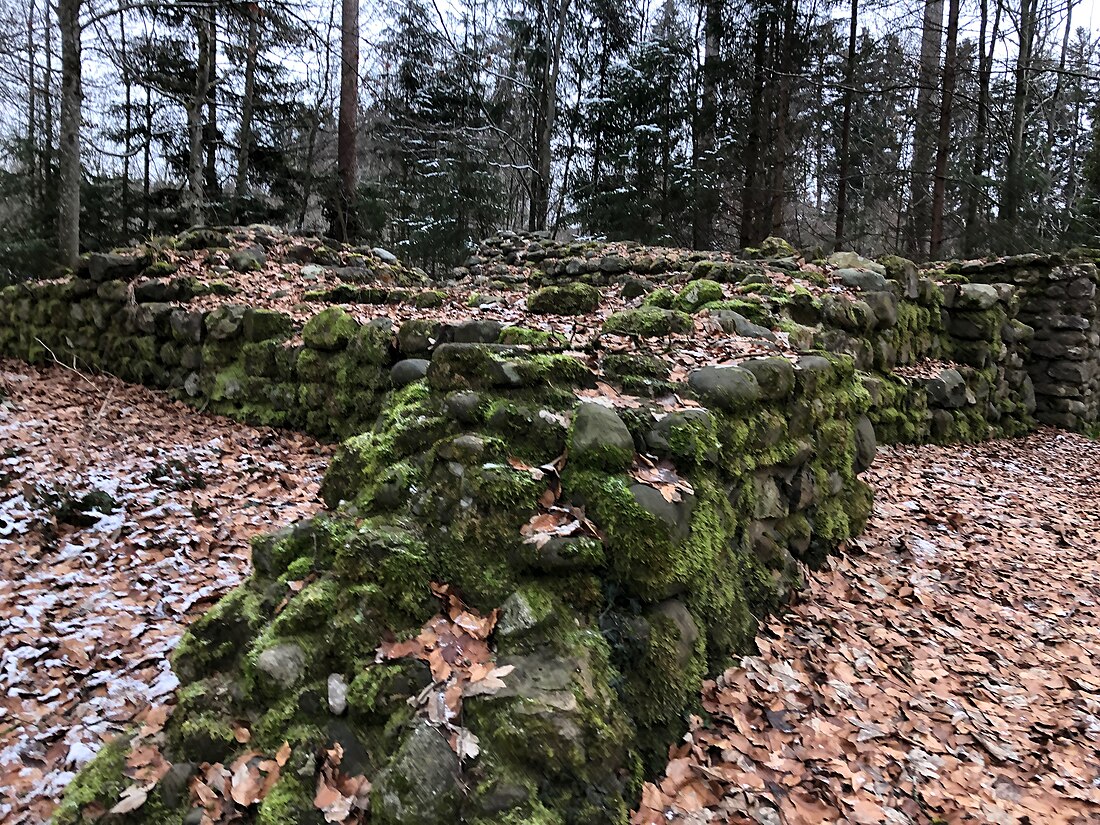 Burg Heitnau