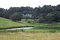 Rasenflächen von Caerhays Castle