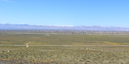 The Mojave Desert welcomes you.