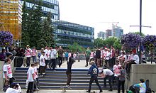 Go Skateboarding Day 2009 in Calgary, Alberta Calgary Go Skateboarding Day.jpg