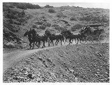 Captain Banning driving first stage on Santa Catalina Island, ca.1895-1900 Captain Banning driving first stage on Santa Catalina Island, ca.1895-1900 (CHS-839).jpg