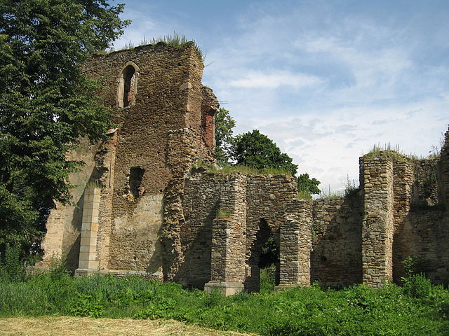 Ruins of the Roman Catholic Cathedral established by Transylvanian Saxon colonists at Baia (German: Moldenmarkt), Suceava County, Romania