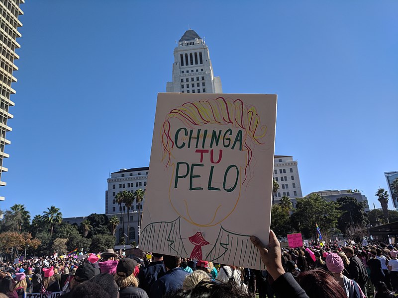 File:Chinga tu Pelo sign, Women's March, DTLA, Los Angeles, California, USA (25951714598).jpg