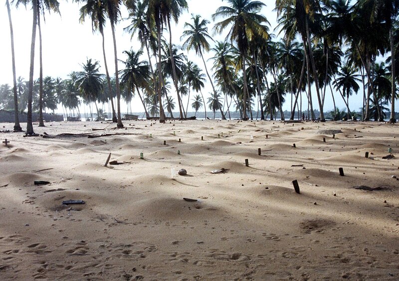 File:Cimetière traditionnel à Grand-Bassam vers 1992. Les tombes sont figurées par des bouteilles renversées.jpg