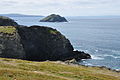 Cliffs at Kelsey Head and Gull Rocks (6102) .jpg