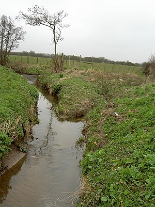 <span class="mw-page-title-main">Greasby Brook</span> Brook in Wirral, England