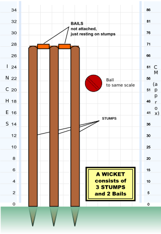 <span class="mw-page-title-main">Bail (cricket)</span> Part of the wicket