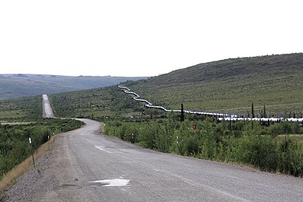 The Dalton and Alaska Pipeline near Finger Mountain (Mile 98).