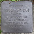 image=https://commons.wikimedia.org/wiki/File:Dam,_Gonda_van_-_Wassenberghstraat_2A.jpg