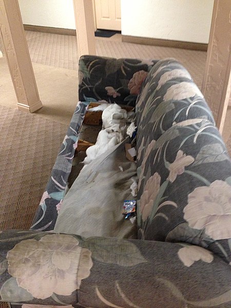 File:Dirty Couch 1 2013-09-08.jpg