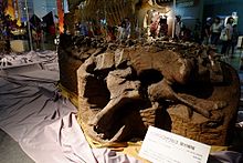 Dongyangosaurus sinensis (19546756204) .jpg