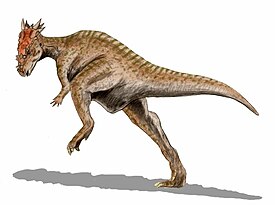 Реконструкция Dracorex