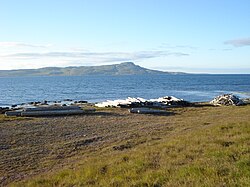 Treibholz, eine frühere Haupteinnahmequelle der Gegend bei Hólmavík; im Hintergrund die Halbinsel Drangsnes