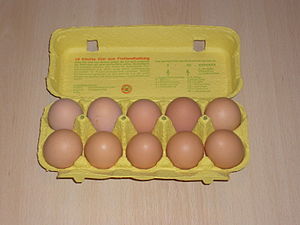 طعام بيض: نبذة تاريخية, أصناف البيض, تشريح وخصائص البيضة