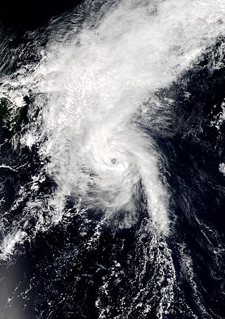 <span class="mw-page-title-main">Tropical Storm Etau (2015)</span> Pacific tropical storm in 2015