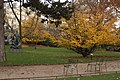 Etudiants resistants au jardin du Luxembourg