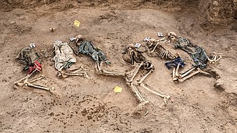 Exhumed skeletal remains of victims of the Isaaq genocide