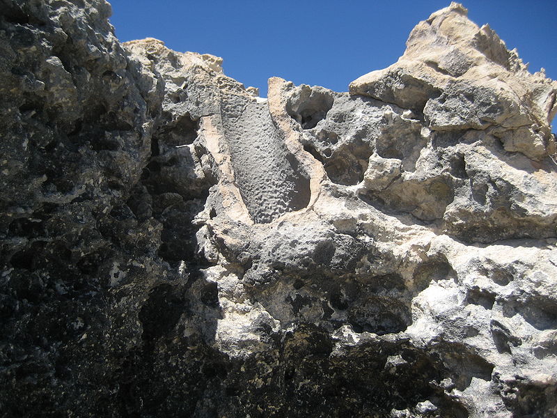 File:Fairbridge Bluff, Rottnest-8.jpg