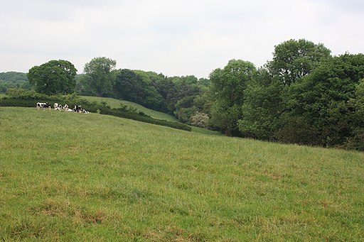 Field by Manor House farm, Crathorne - geograph.org.uk - 1900946