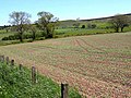 Field near Crawley Farm - geograph.org.uk - 1332835.jpg