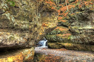 <span class="mw-page-title-main">Pewit's Nest State Natural Area</span> State Natural Area in Wisconsin