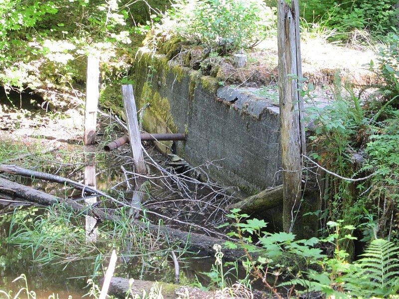 File:Fish Lake Guard Station 15 - McKenzie Bridge Oregon.jpg