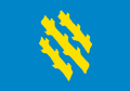 Flag of Søndre Land kommune