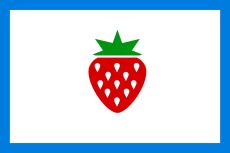 Flag of Searcy County, Arkansas.svg
