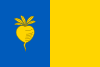 Flag of Sint-Niklaas (en)