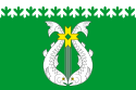 Bendera Suoyarvsky Kabupaten