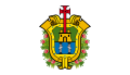 Vlag van Veracruz 1999-2009 (ratio 4:7)
