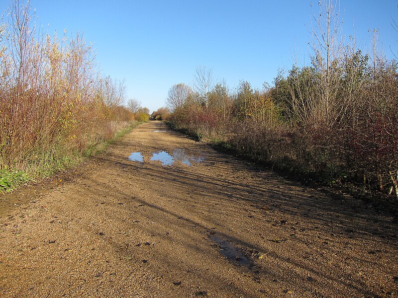 File:Footpath through Needingworth gravel pits - geograph.org.uk - 3232861.jpg