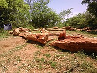 Ископаемая древесина. Fossil Wood. Akal Wood Fossil Park. Akal Wood Fossil Park Jaisalmer.