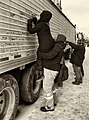 * Nomination A person is writing on a trailer during "Freedom Convoy" protest in Ottawa, Canada --Maksimsokolov 00:35, 17 February 2022 (UTC) * Decline  Oppose What a pity! This looks like a 1922 and not 2022 photo taken with a modern Sony Ilce. Much too vial noise and not enough sharpness. For me this is not QI. --Steindy 11:16, 17 February 2022 (UTC)