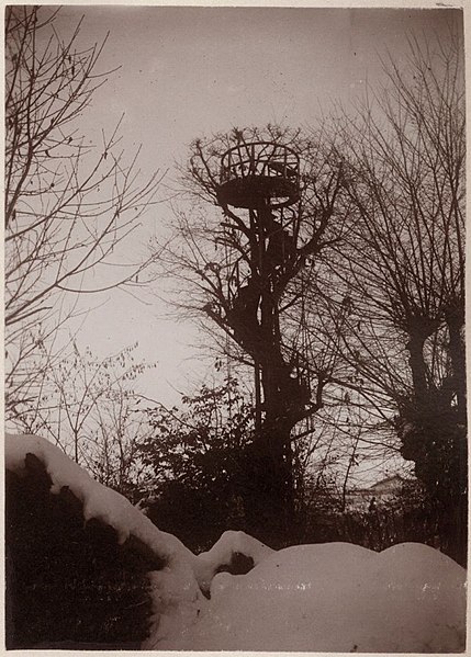 File:Gabinio.Presso S.Margherita. Torino-Paesaggio Invernale Presso Santa Margherita Con Una Piattaforma Costruita Su Di Un Albero 15A79.jpg