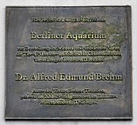 Gedenktafel Alfred Edmund Brehm.jpg