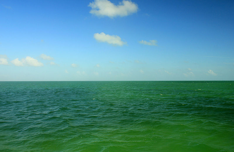 File:Gfp-florida-biscayne-national-park-blue-green-water.jpg