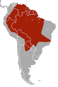 Distribución do armadillo xigante.