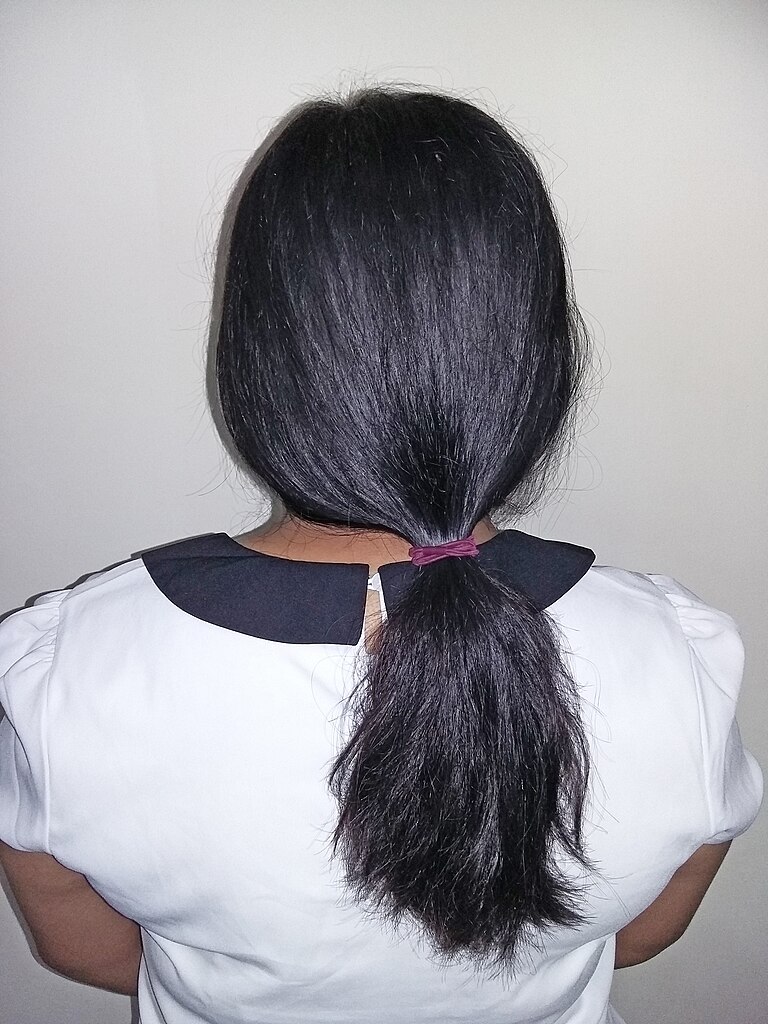 File:Girl with long black hair (ponytail), rear view.jpg ...