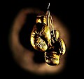 Thumbnail for Golden Gloves