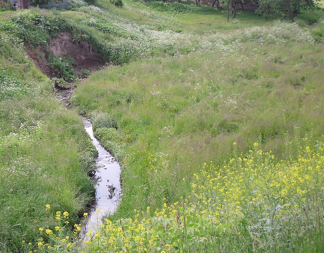 Гараднічанка