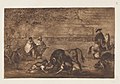 Goya La Tauromaquia (C) Perros al toro.jpg