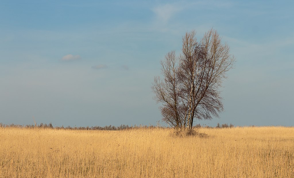 flevoland