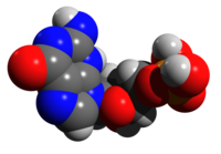 Space-filling model of guanosine monophosphate