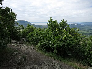 View from the top of the Gulács